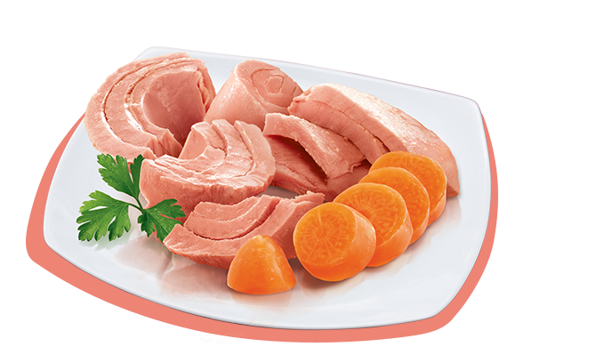 PETREET ADULT IN BRODO DI PESCE A56 - TONNO CON CAROTE 70G