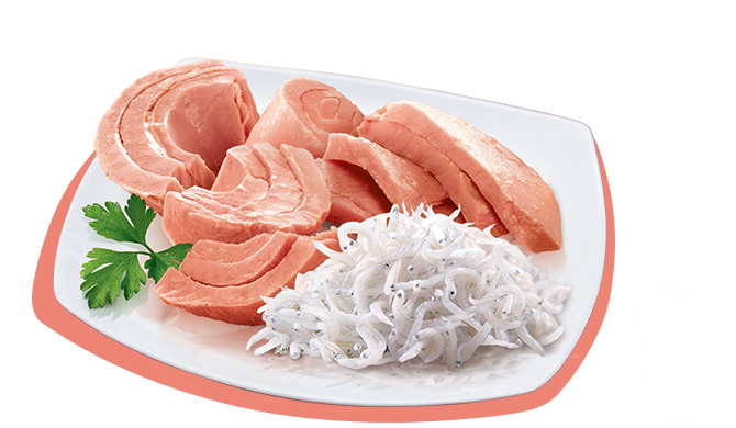 PETREET ADULT IN BRODO DI PESCE A53 - TONNO CON PESCE DELL'OCEANO 70G