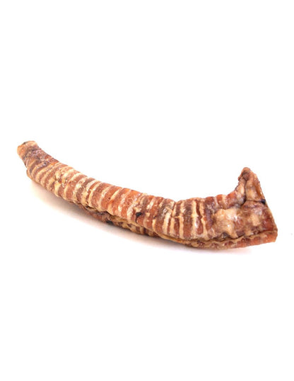 Trachea bovina busta 200 gr 18 cm