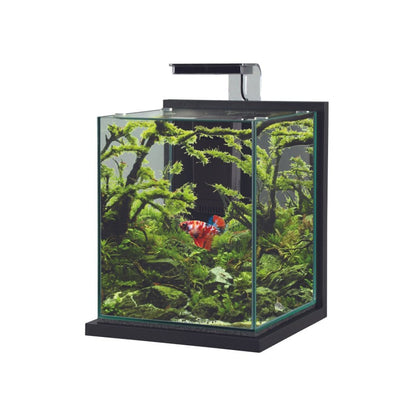 Zolux Jalaya XL Acquario in Vetro con Supporto Illuminazione Filtro 18,7 L GRIGIO ANTRACITE