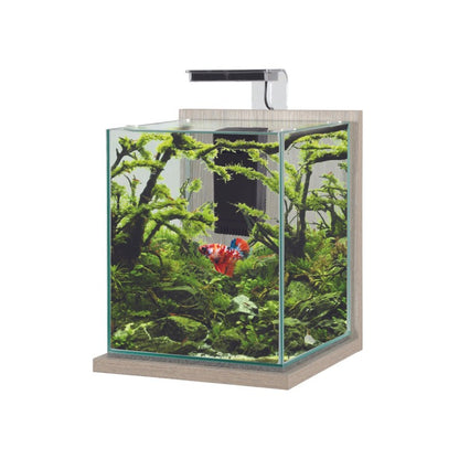 Zolux Jalaya XL Acquario in Vetro con Supporto Illuminazione Filtro 18,7 L ZEBRANO GRIGIO